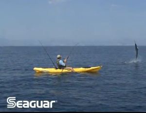 Kayak Fishing For Marlin