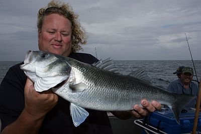 UK Bass Fishing