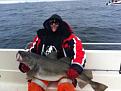 Click image for larger version

Name:	45LB Cod 2.jpg
Views:	239
Size:	16.9 KB
ID:	1529523